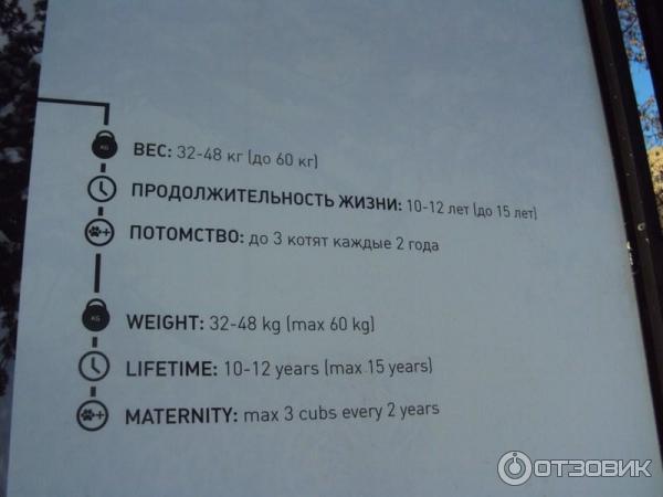 Выставка Российского географического общества Редкий вид в Таганском парке культуры и отдыха (Россия, Москва) фото