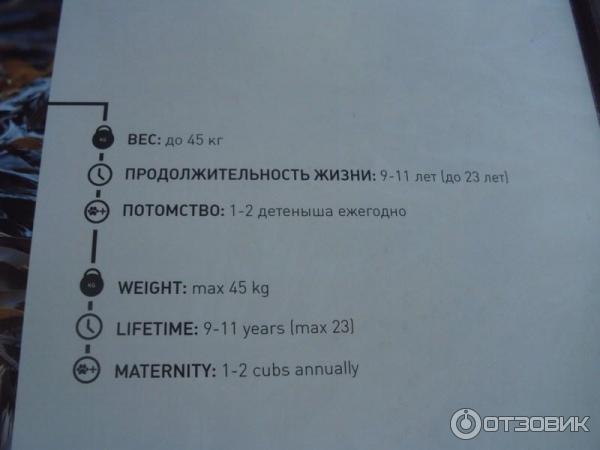 Выставка Российского географического общества Редкий вид в Таганском парке культуры и отдыха (Россия, Москва) фото