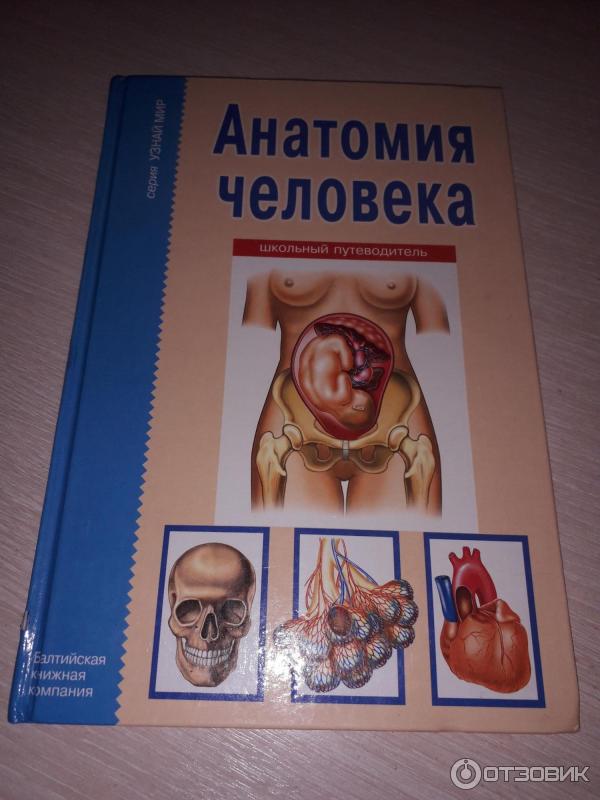 Какие книги по анатомии. Учебник по анатомии. Биология анатомия. Анатомия книжка.