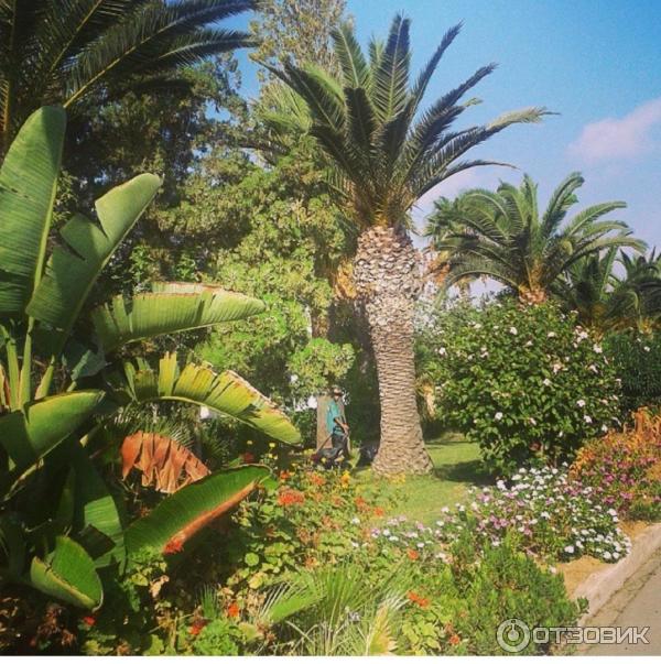 Отель Caribbean World Monastir Garden 4* (Тунис, Монастир) фото