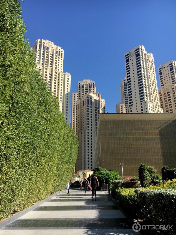 Пляж Dubai Marina beach (ОАЭ, Дубай) фото