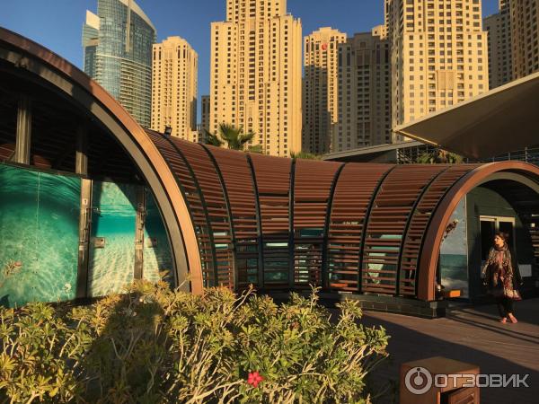 Пляж Dubai Marina beach (ОАЭ, Дубай) фото