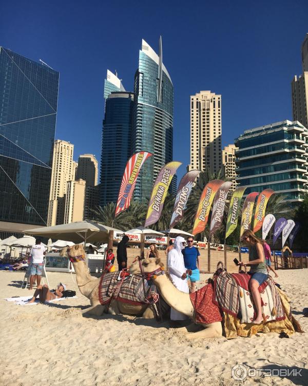 Пляж Dubai Marina beach (ОАЭ, Дубай) фото