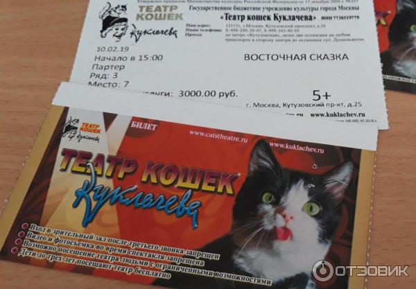 Купить билет на кошку. Куклачева театр кошки в Восточной сказке. Билет Cat. Билет с кошкой. Название спектаклей с участием кошек.
