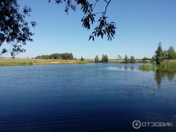 Сапог в реке