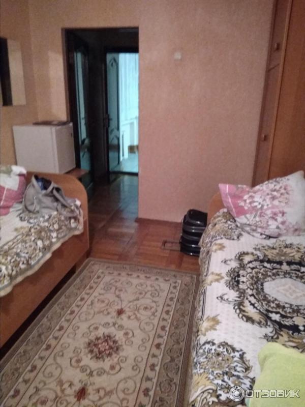 Санаторий Алеся (Беларусь, Брестская область) фото