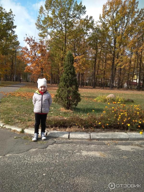 Санаторий Алеся (Беларусь, Брестская область) фото