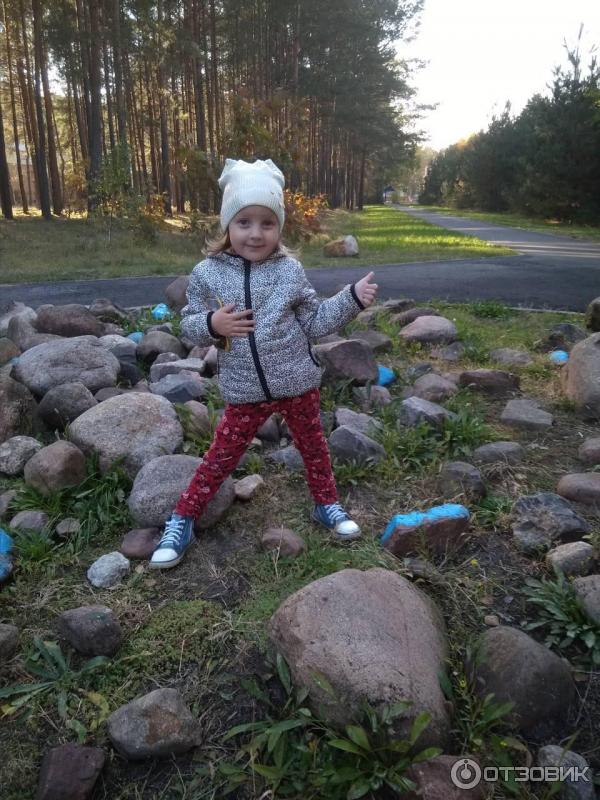 Санаторий Алеся (Беларусь, Брестская область) фото