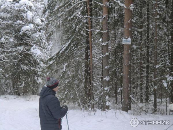 Спортивно-туристический комплекс Порошино (Россия, Кировская область) фото