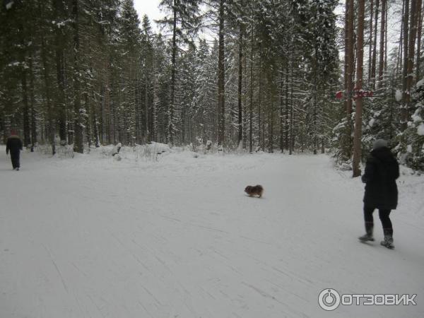 Спортивно-туристический комплекс Порошино (Россия, Кировская область) фото