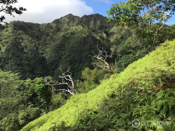 Джунгли и пляжи Гонолулу (США, Гавайи) фото