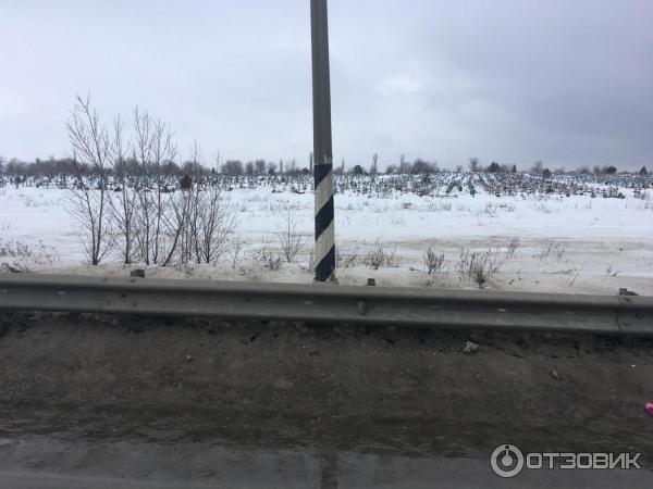 Кладбище при въезде в Михайловке волгоградская область