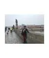Снежана Гросс