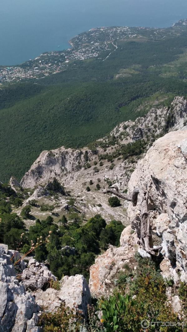 Отдых в Ялте (Крым) фото