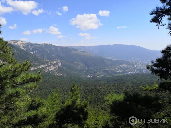 Отдых в Ялте (Крым) фото