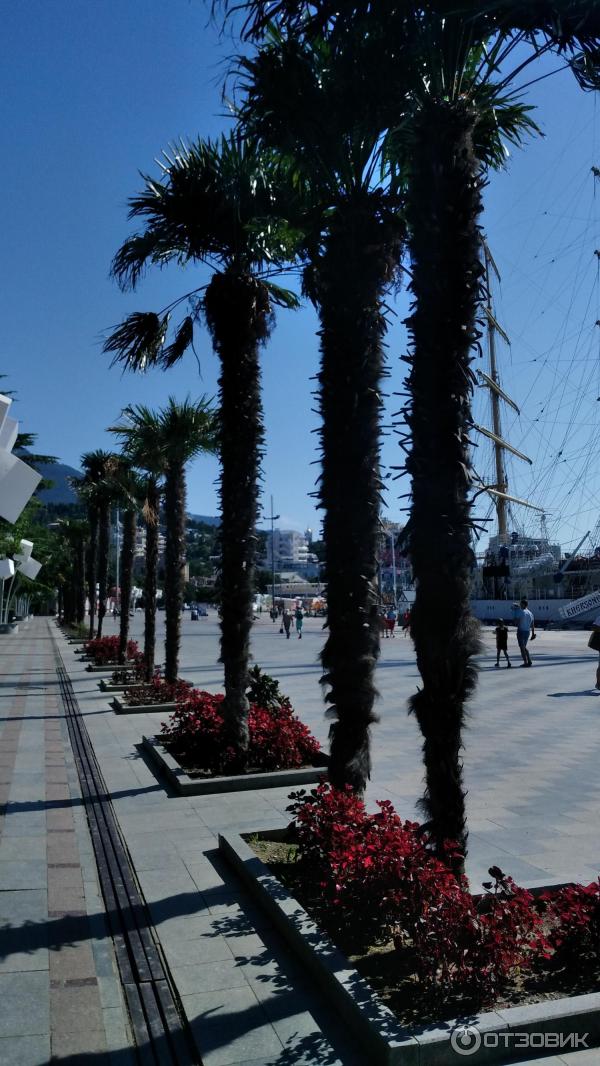 Отдых в Ялте (Крым) фото