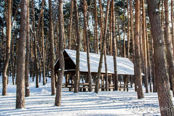 Пикника белгород фото Отзыв о Пикник Парк (Россия, Белгород) Прекрасная альтернатива отдыху в "диком" 