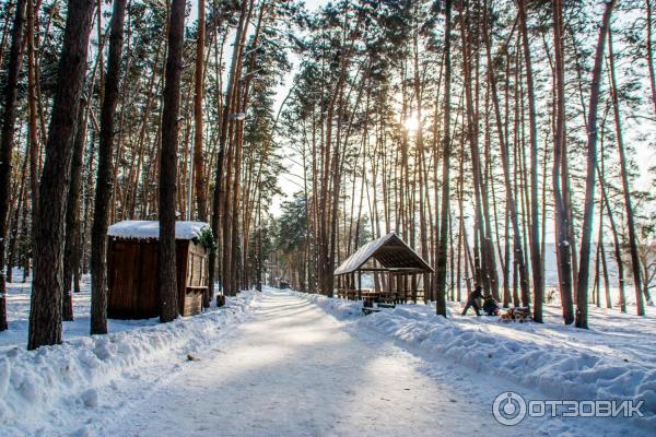 Пикника белгород фото Отзыв о Пикник Парк (Россия, Белгород) Прекрасная альтернатива отдыху в "диком" 