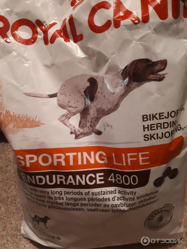 Сухой корм для собак Royal Canin Spoting life Endurance 4800 фото