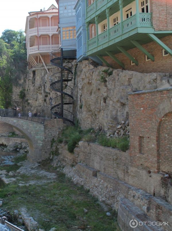 Ботанический сад (Грузия, Тбилиси) фото