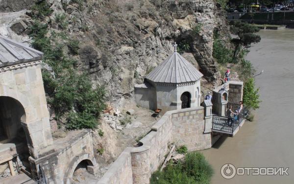 Ботанический сад (Грузия, Тбилиси) фото