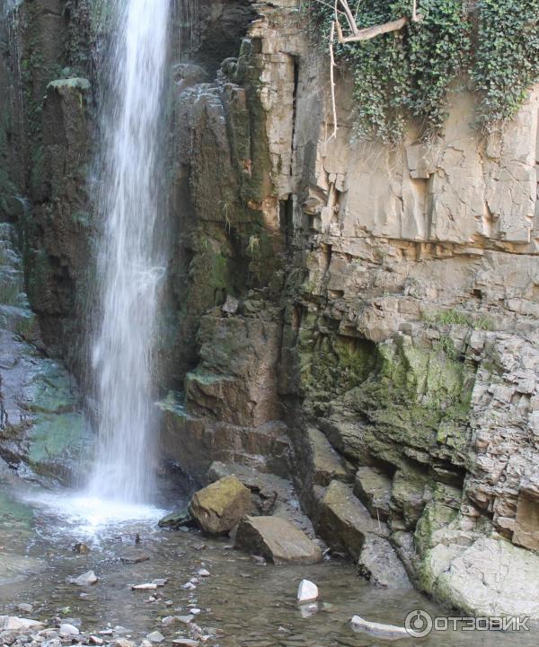 Ботанический сад (Грузия, Тбилиси) фото