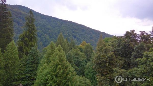 отель Palace Hotel Sinaia 4