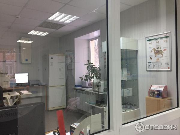 Ветклиника миасс инструментальщиков 5. Гелиос миасс ветклиника режим. Ветклиники миасс телефоны. Ветклиники миасс телефоны. Ветклиника миасс рассвет.