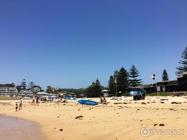 Пляж Surf Beach (Австралия, Киама) фото