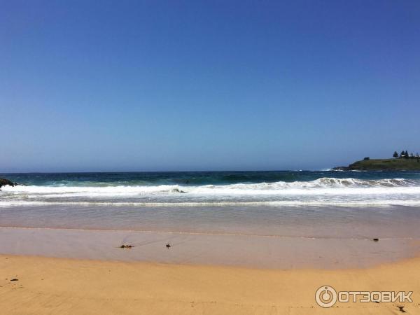 Пляж Surf Beach (Австралия, Киама) фото