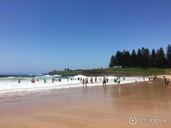 Пляж Surf Beach (Австралия, Киама) фото