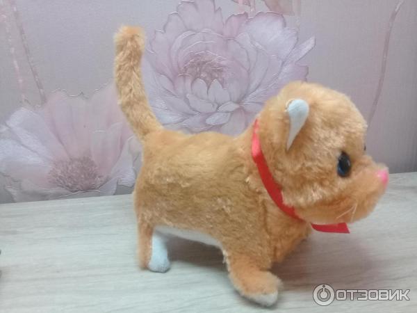 Зверь плей