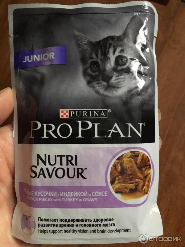 Корм для кошек Pro Plan Junior фото