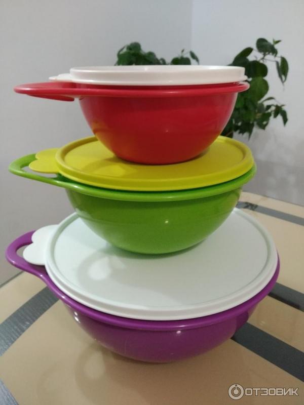 Контейнер Tupperware Микромилиан фото