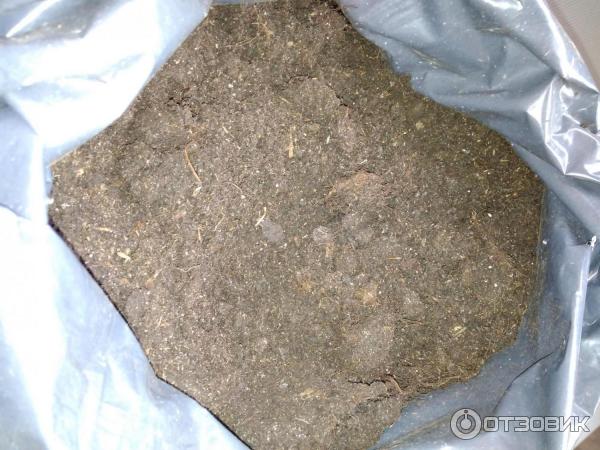 Грунт для рассады Родная Земля фото