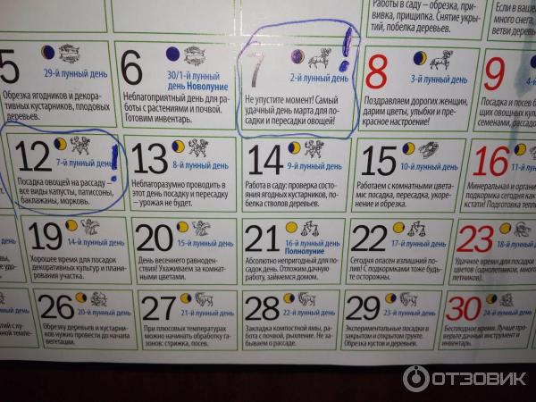 Грунт для рассады Родная Земля фото