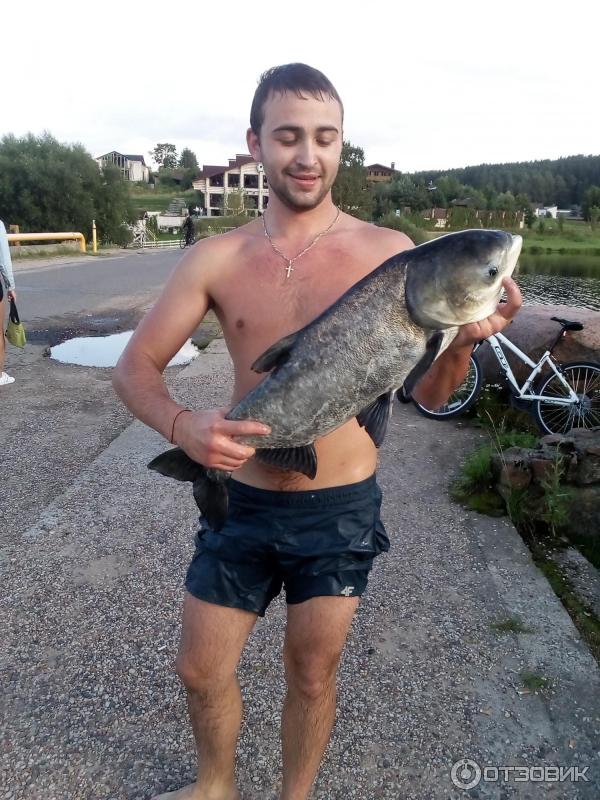 Добровское водохранилище. : plemyash_sergei - ЖЖ