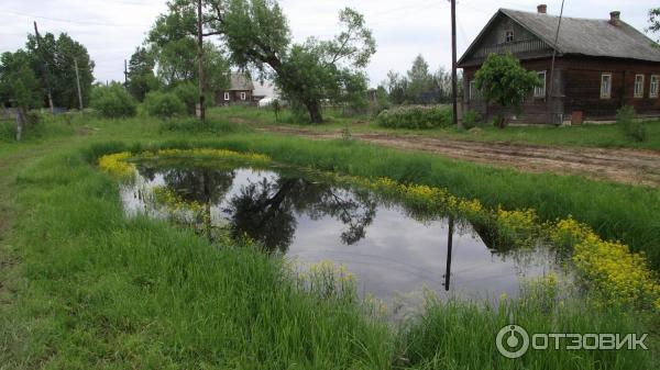 Поездка к шару под Дубной (Россия, Тверская область) фото