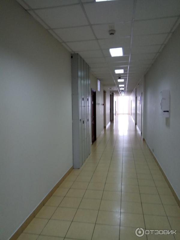 Отель Приют Панды (Россия, Сочи) фото