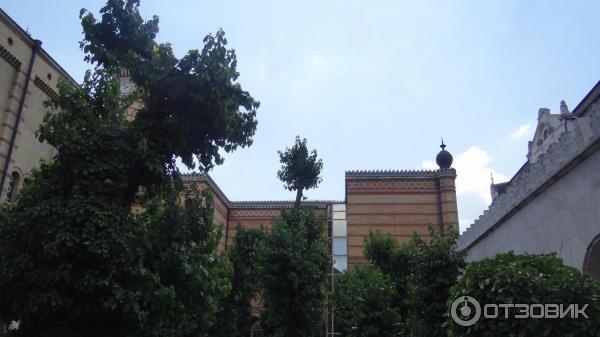 Экскурсия в Большую синагогу (Венгрия, Будапешт) фото