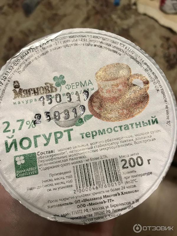 Йогурт термостатный Мясновъ фото