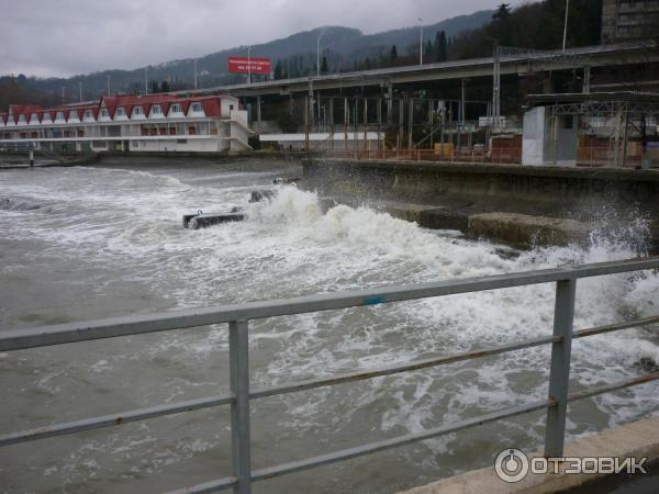 Хоста Краснодарский Край Фото Поселка И Пляжа