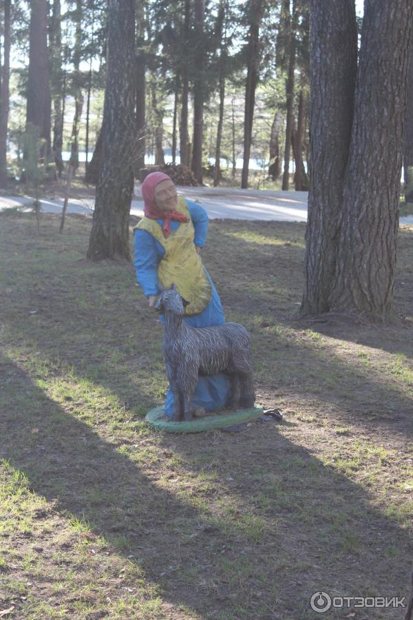 территория Санатория