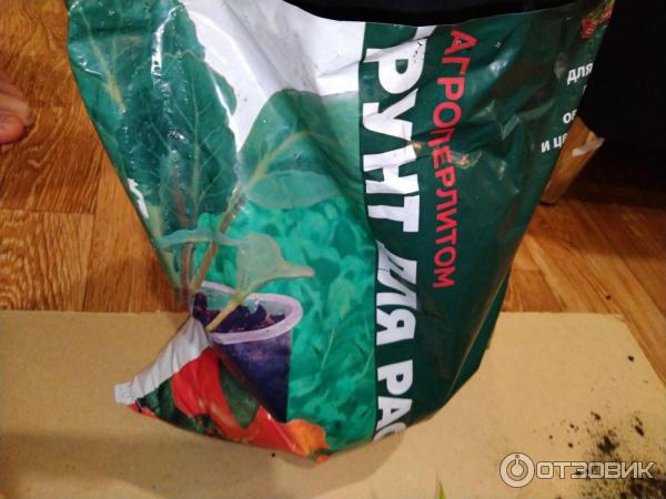 Грунт для рассады Родная Земля фото