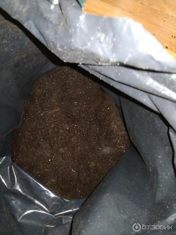 Грунт для рассады Родная Земля фото