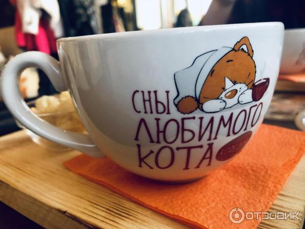 Сны любимого кота