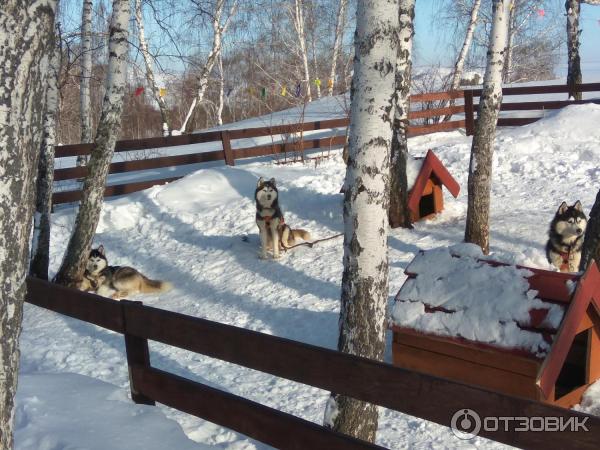 Горнолыжный центр Металлург-Магнитогорск (Россия, Башкортостан) фото