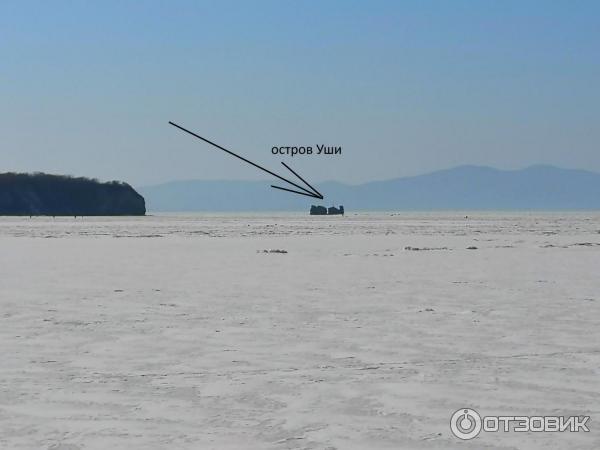 Остров уши остров уши. Остров уши. Остров уши остров уши. Остров циволько приморский край. Остров уши.
