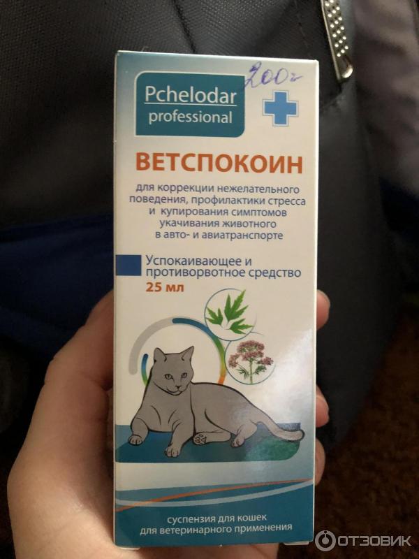 Снотворное для кошек