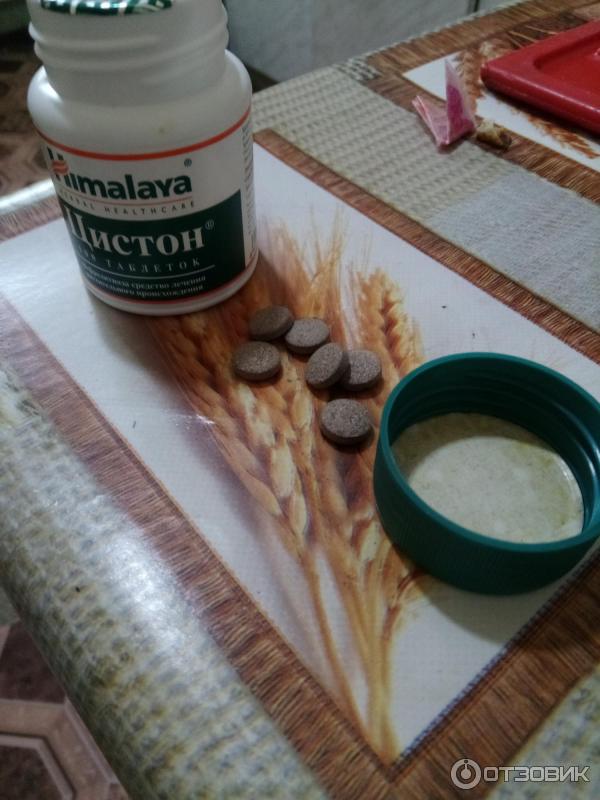 Цистон для кошек